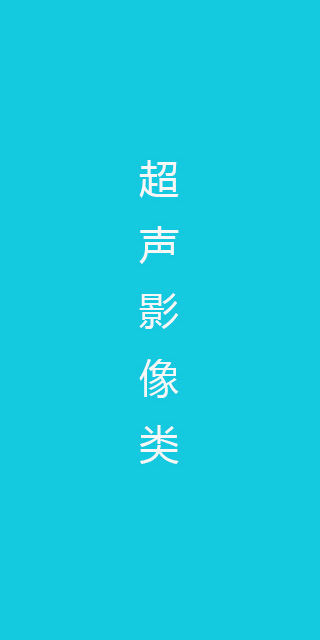 超声影像类